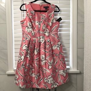 Jessica Howard NWT dress